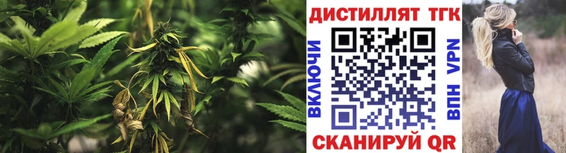 Дистиллят ТГК Wax  магазин    Элиста 