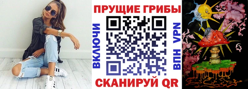 ссылка на мегу рабочий сайт Элиста Галлюциногенные грибы мицелий где можно купить